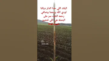 السلام خوتي بخير مزيان يسهل عليكم ويحن عليكم 