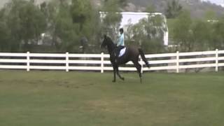 DelaneyBarr_Soberano_EddieMackinClinic_121202.MOD
