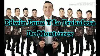 Me Hubieras Avisado - Edwin Luna Y La Trakalosa De Monterrey