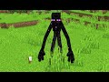 Euh a a chang les enderman dans minecraft  fuzeiii