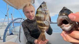 видео: чмок?) картинка: чмок?)