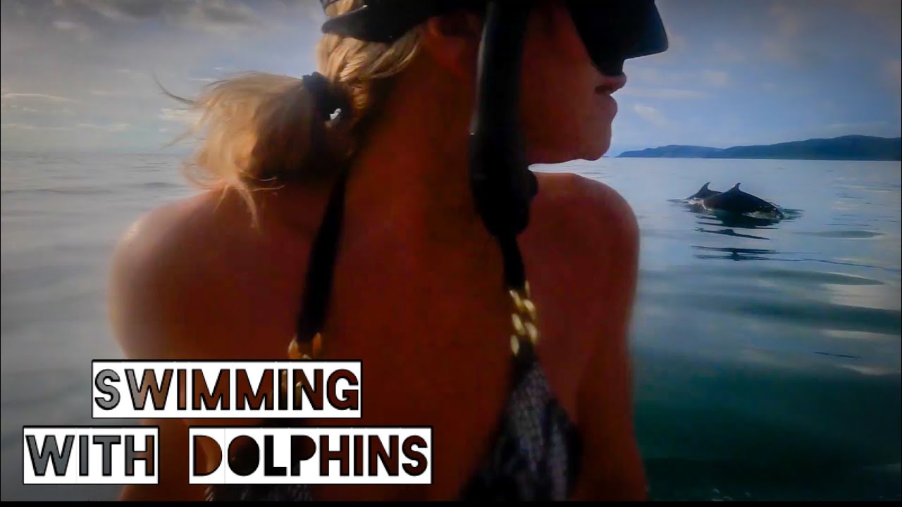 Swimming with Dolphins, sailing lessons and more! Ep. 53