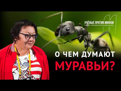 Мифы о муравьях. Жанна Резникова. Ученые против мифов 11-3