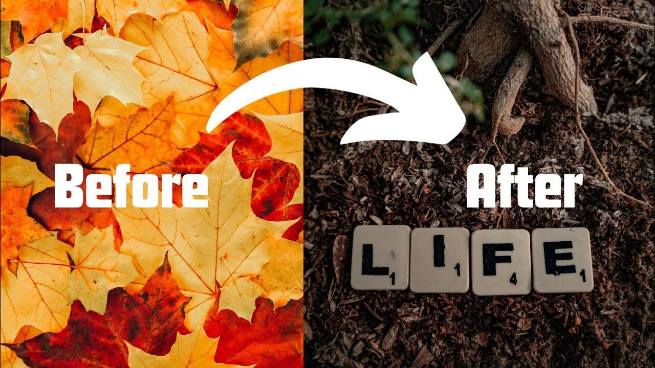 How To Make And Use Leaf Mold/Mulch In Your Garden YouTube