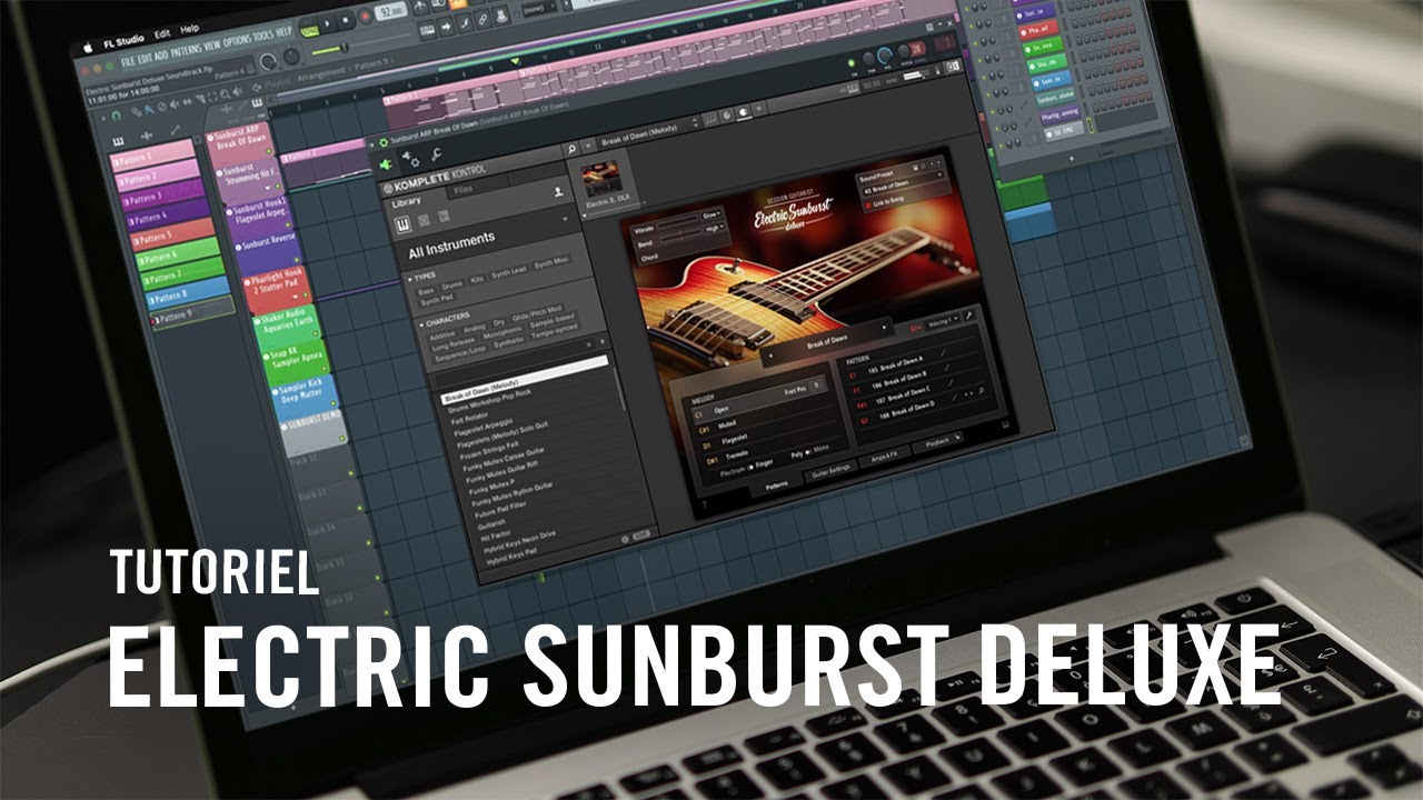 Bien débuter avec ELECTRIC SUNBURST DELUXE la guitare électrique