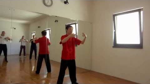 Yiquan Bracing & Holding Stance (Cheng Bao Zhuang) Part 1