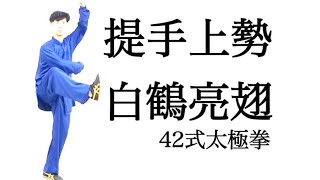 42式太極拳：第四式・第五式〝提手上勢〟〝白鹤亮翅〟　武術の動きを見落とさず演武しよう！