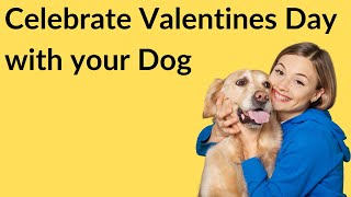 How to Celebrate Valentines Day with your Dog