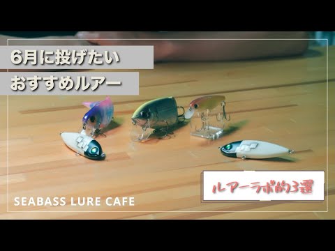 梅雨】雨の多い6月に投げたいルアー3選！【シーバス】 - YouTube