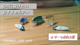 梅雨】雨の多い6月に投げたいルアー3選！【シーバス】 - YouTube
