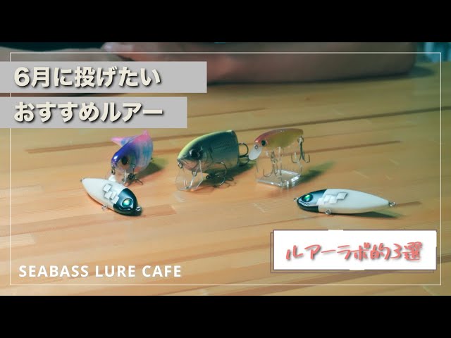 梅雨】雨の多い6月に投げたいルアー3選！【シーバス】 - YouTube
