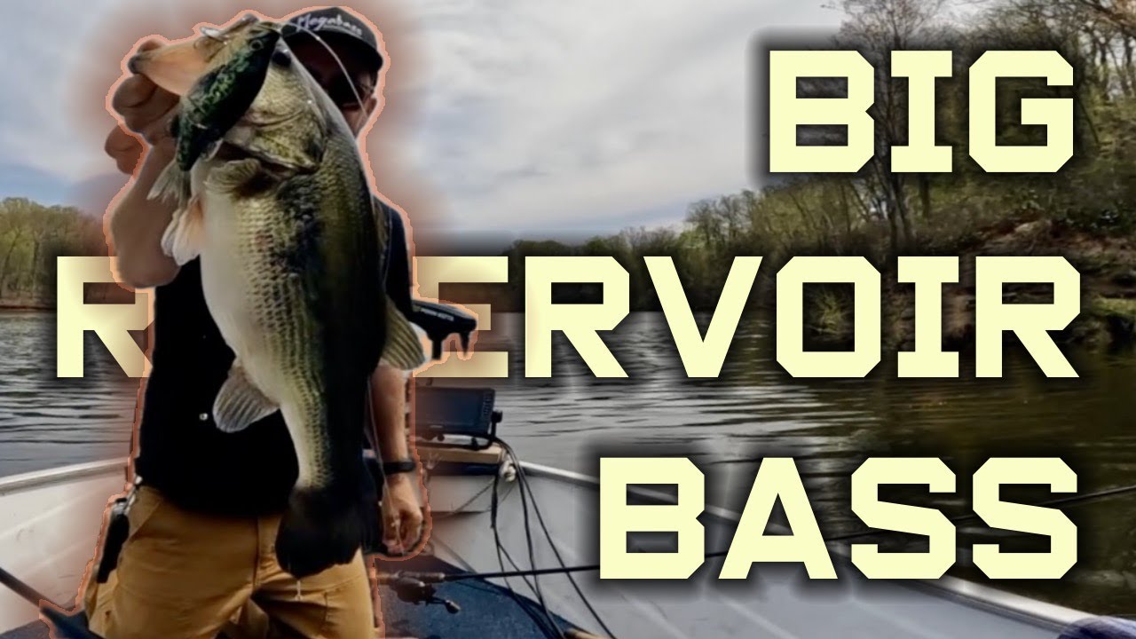 Chucking Glide Baits for Reservoir Bass