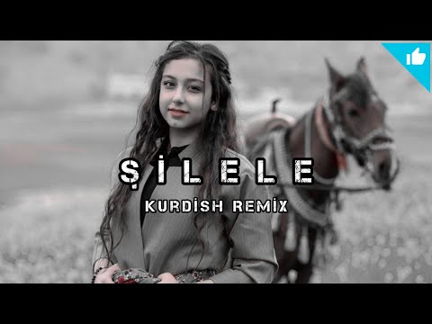 Sayit Official [ ŞİLELE ] Kurdish Trap Remix