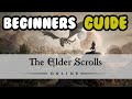 Beginners Guide to ESO in 2020 (Elder Scrolls Online Guide PC, PS4, Xbox)