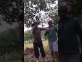 Bigode comemorando a  plantação de capim com churrasco