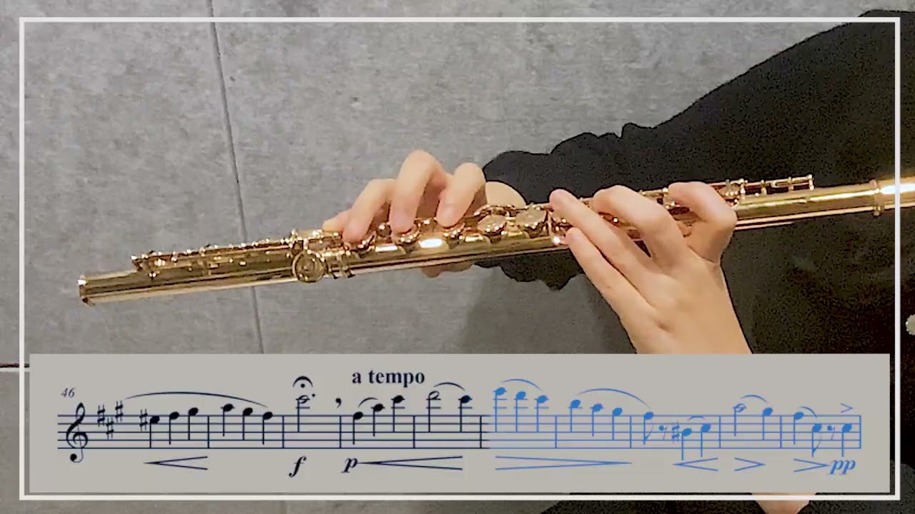 가리볼디 플루트 에튀드 Op. 131 12번 F# Minor