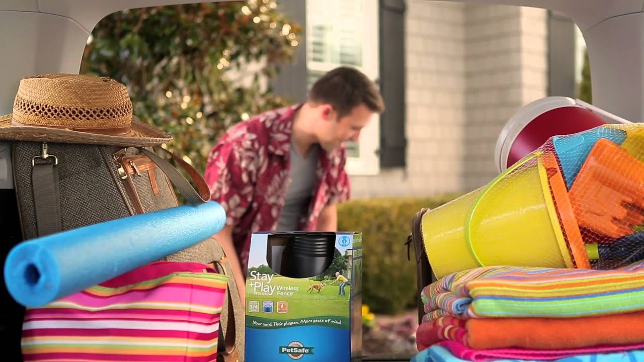 Petsafe Stay+Play Wireless Pet Fence YouTube