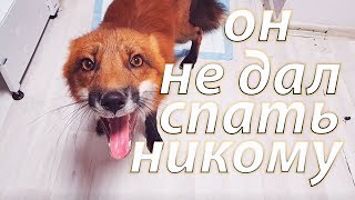 :    ?)))