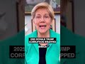 Donald Trump’s 2025 corruption wrapped.
