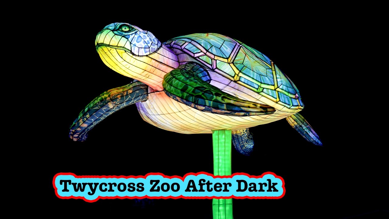 Epic First Ever Lanterns of the Wild at Twycross Zoo – Full Walk Through