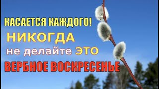 Вербное воскресенье! НИКОГДА не делайте ЭТО в праздник/Что можно и что нельзя!