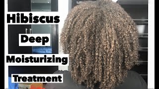 Use  this Moisturizing Deep Treatment Twice a Month to Grow Long & Healthy Hair| Hibiscus