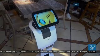 Business Report: Restaurants turning to robot waiters