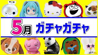ガチャガチャ新作2026年5月発売予定のまとめ180本！サンリオ、ディズニー、ガチャガチャのぷくぷくシールなど注目の販売情報を解説【ガチャガチャGO!GO!】