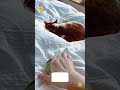 #dog #funny #funnyanimal #cat
