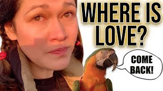 LOVE DIDN'T COME BACK AFTER FREE FLYING! *emotional* Part 1
