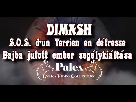 Dimash - S.O.S. d'un Terrien en détresse - magyar fordítás / lyrics by palex