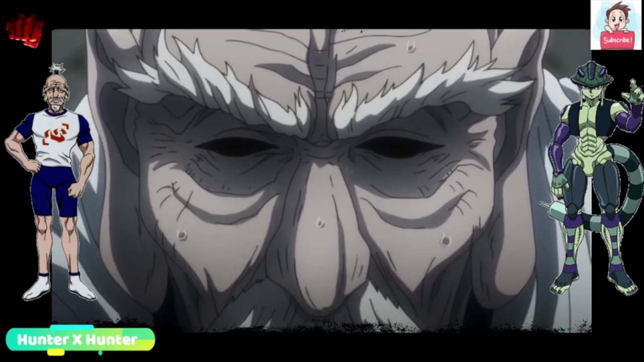 Netero vs Meruem Final Battle