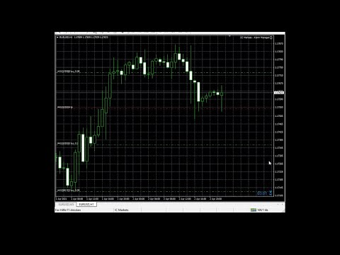 Forex Livetrading