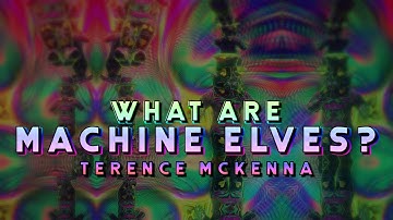 Terence McKenna - What Are Machine Elves?