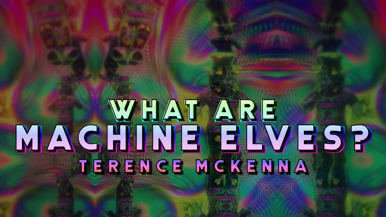 Terence McKenna - What Are Machine Elves?