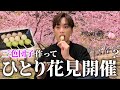 【🍡】アラサー男がボッチお花見してたら大学生に絡まれた(？)