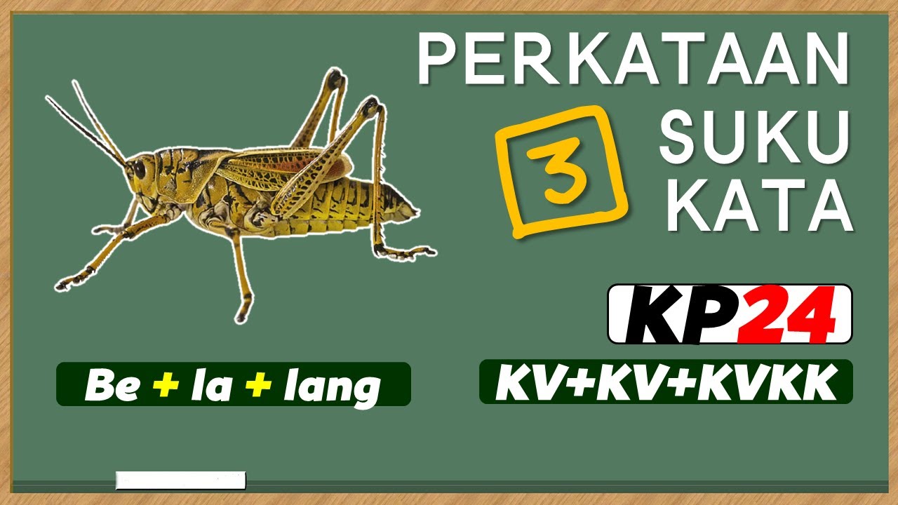 KP24 - KV+KV+KVKK | Membaca Perkataan & Ayat | Perkataan Tiga Suku Kata