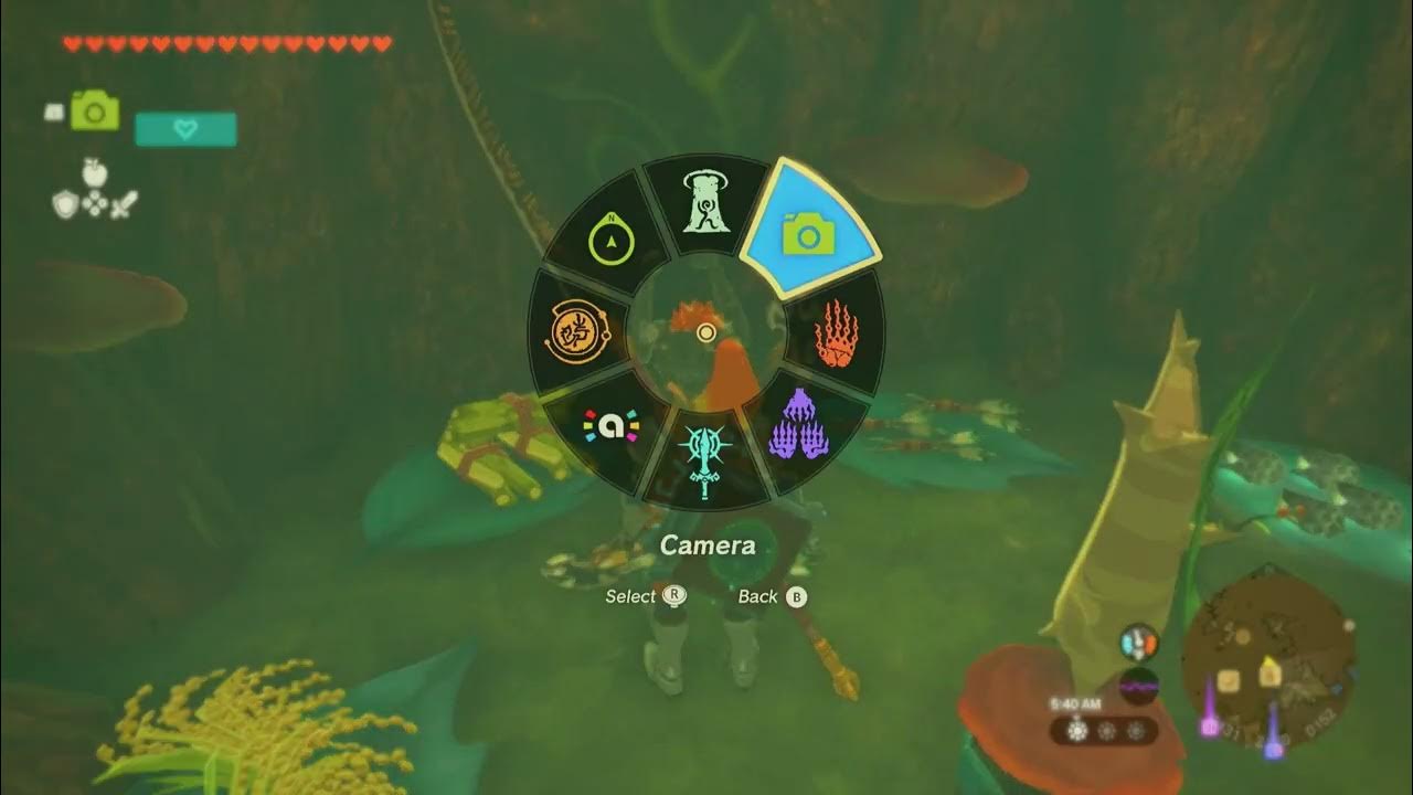General Shop & Inn, Korok Forest The Legend of Zelda Tears of the