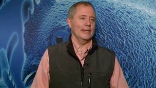 IPPE 2020: Feed components establishing the intestinal microflora