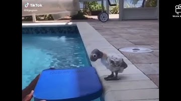 The flotation device