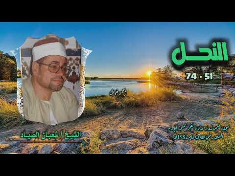 الشيخ شعبان الصياد سورة النحل 51 74 خارجي