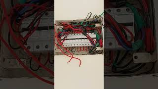 full DP# box# dressing wiring#trending short#electrician # video #yt shorts #Tech master electrician