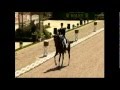 Krmusik dressurkr musik knig der lwen  lion king freestyle dressage music