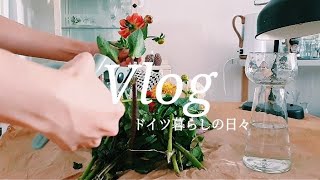 [暮らし]孤独な海外生活を楽しく暮らすアイデア。日常VLOG