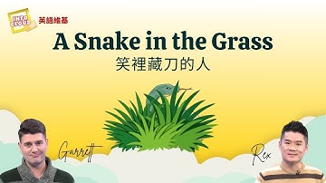 【英語維基】笑裡藏刀的人 A Snake in the Grass / 空中英語教室