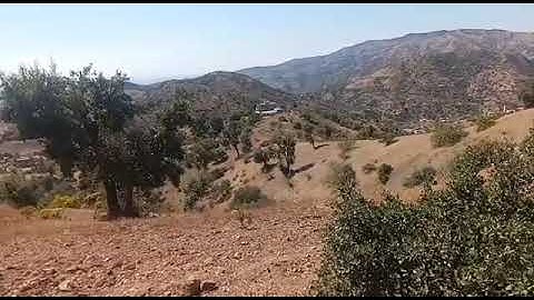 سورة الرحمان برواية ورش ، مع قواعد التجويد 😌🤍🤲🏞️🏕️🍃🌿