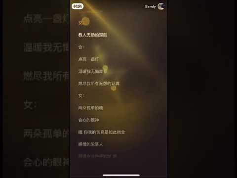 张雨生 张惠妹 最爱的人伤我最深