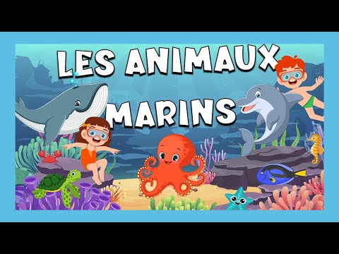 Los animales marinos 🐠🐙🐳 en francés | Vocabulario