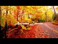 Autumn Leaves(낙엽) - Alto Saxophone - by Kenny Yu