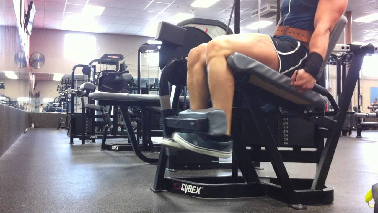 PHAT Training Series Quads/Calves/Triceps and Traps Hypertrophy YouTube